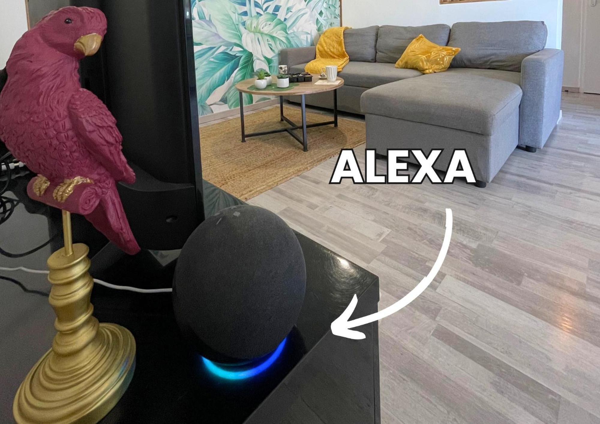 Apartmán Le Jungle - Parking Et Wifi Gratuit - Balcon - Alexa Saint-Alban  Exteriér fotografie